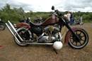 britjam3162t.jpg