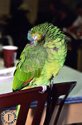 ca1a023.jpg