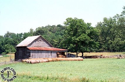 rcr11045.jpg