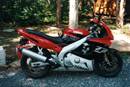 rcr11001t.jpg