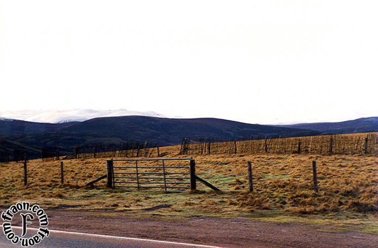 scotland040b.jpg