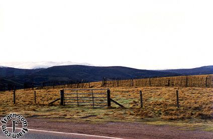 scotland040.jpg