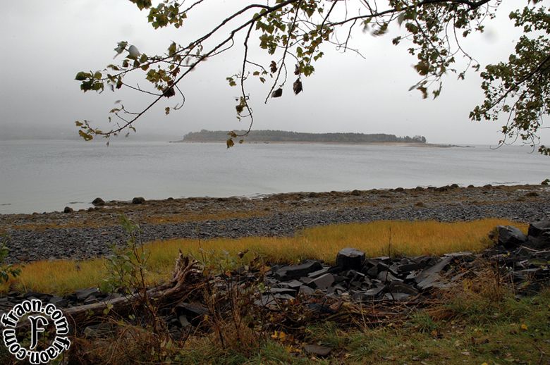 ns06025b.jpg