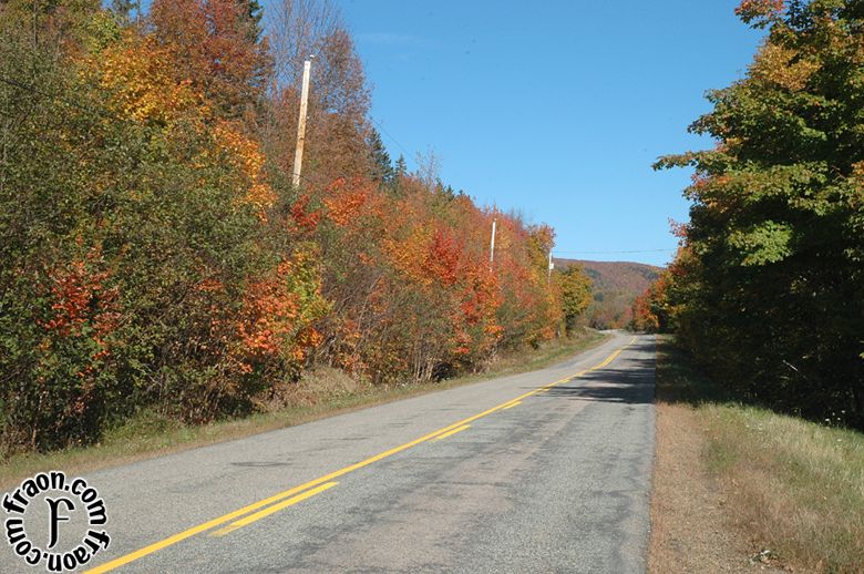 ns06193b.jpg